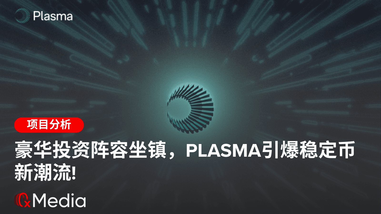 豪华投资阵容坐镇,Plasma引爆稳定币新潮流