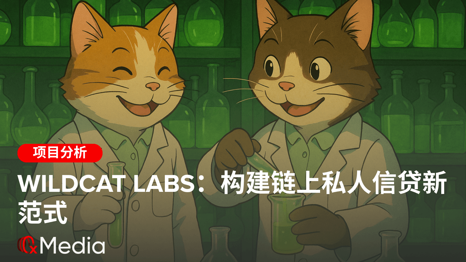 Wildcat Labs:构建链上私人信贷新范式