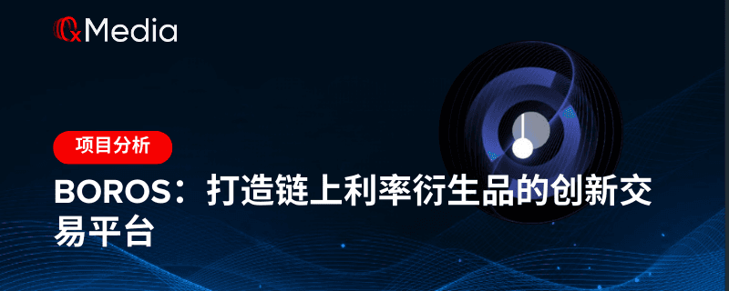 Boros:打造链上利率衍生品的创新交易平台