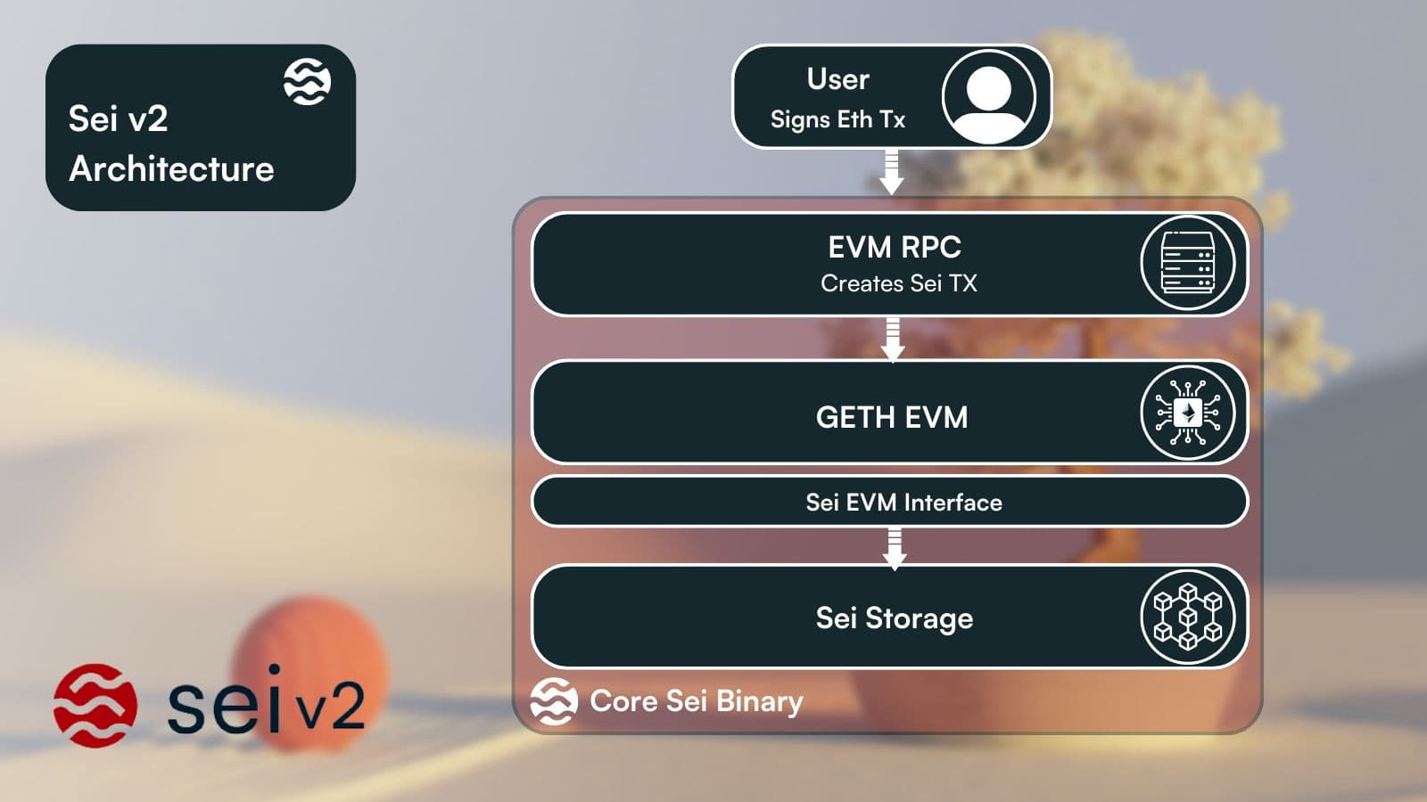Understanding Sei: A Comprehensive Overview