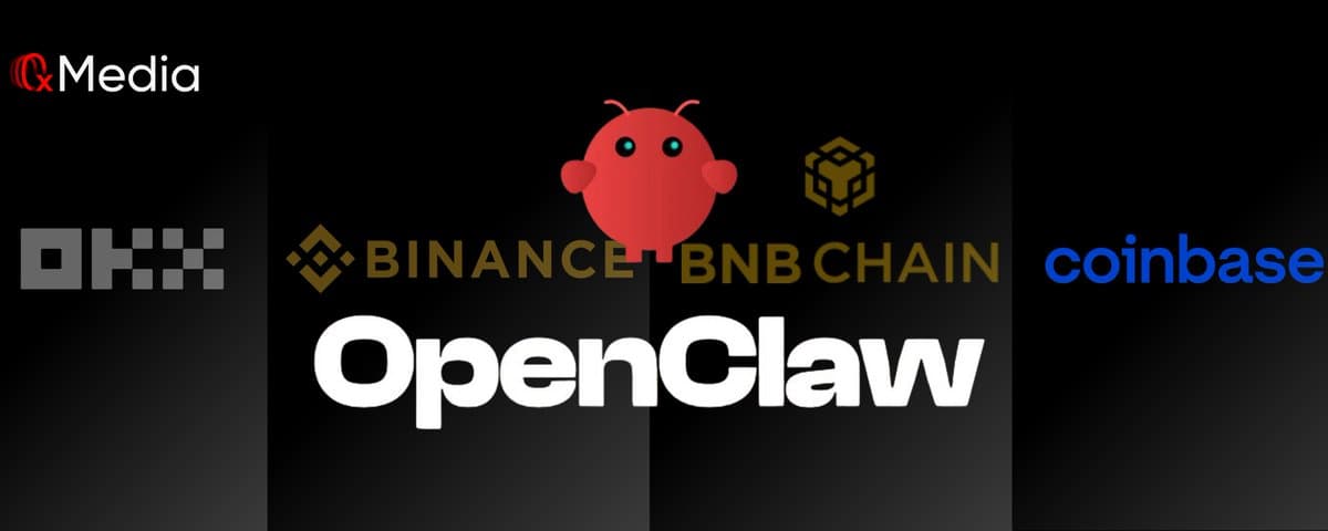 全网首发:各交易所龙虾 skills 横向实测(含OKX 姆级部署+3个月免费龙虾使用教程)